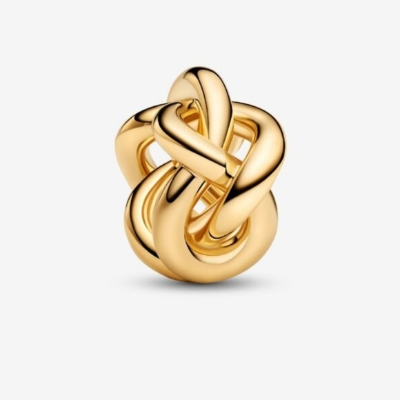 Pandora Infinity Knot Charm - Picture 1 of 7